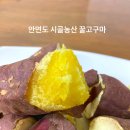 안면도시골농산 이미지