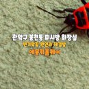 관악-현장-관악-04-03 이미지