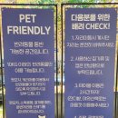 맛집] 북한강 뷰에 반하고 베이커리에 설레는 '리버나인 카페' (애견동반, 키즈케어존, 루프탑 정보...
