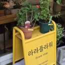 라라플라워 - 안산시 상록구 후곡로 76 | 안산 꽃집 추천 | 라라플라워 화이트 꽃다발 솔직 후기