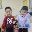 포근포근 솜으로 놀이해요☁️☁️☁️ 이미지