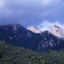 정읍중학교 이미지