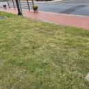 삼계면사무소 이미지