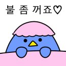 달콤과일나무