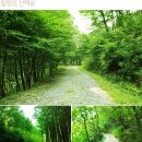 풍경채펜션 - 옹진군 영흥로643번길 15-2 | 풍경채펜션