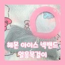 조화엔지니어링주 | 다가올 여름 폭염준비템, 아이스넥쿨러 쿨링시트 추천! '헤몬 넥쿨러 아이스 넥밴드'
