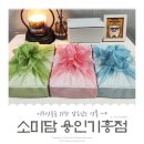 소미담용인