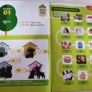 Onion Cat (양파고양이)