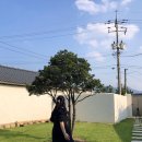 From. Marbang 프롬말방 이미지