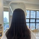 헤어르뽀렘 신정점
