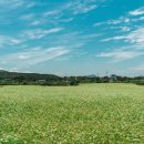 동물병원 퍼피하우스 이미지