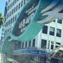 동산의류 | 대구 서문시장 투어 (동산상가 옷 가게, 서문시장 먹거리 추천)