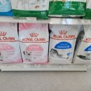 퍼피캣동물병원 이미지