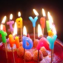 쌍금이네 이미지