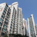 백마공인중개사사무소 이미지