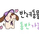 몽글댕글 네이버블로그