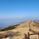 소백산오토캠핑장 이미지