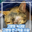 장수케어(금천) 이미지
