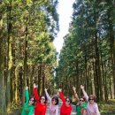 제주기사 이미지