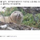 솔은원 이미지