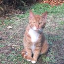 한가람메디칼 이미지