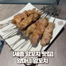 양마니 | [세종 양꼬치 맛집] 내돈내산 양마니 단골 될 후기 (볶음밥, 온면)