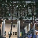 담소마루 세종문화회관점 | [광화문] 세종문화회관 카페 담소마루 세종문화회관점 솔직후기