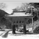 용연사 Daum카페