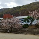 190329 금 오전 경북교통문화연수원 교통안전교육 2시간 이미지