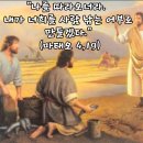 2026-01-25연중 제3주일(하느님의 말씀 주일, 해외 원조 주일)＜예수님께서는 카파르나움으로 가셨다. 이사야를 통하여 하신 말씀이 이미지