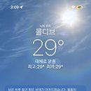 파레스사우나 네이버블로그