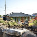 제주신촌돌집독채민박 이미지