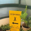 신논현 미용실 엥비떼헤어신논현점 기장추가없이 아윤채크리닉 예진디자이너님께 받았어요💘