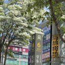 솔고은 | [부천] 결이고은 예신 승모근 라인 필수 코스, 명품 쇄골관리 받고 온 후기(주차, 추천이유)