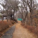 조각공원로 이미지