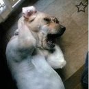 이화여자대학교 의학전문대학원 이미지