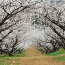 어부손씨민박 이미지