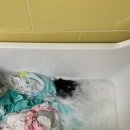 말끔이세탁소 이미지