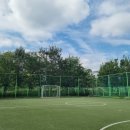 경기태권도장 이미지