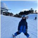 설천면102 | 무주스키장 초보자도 쉽게 배우는 무주스키강습 타자고 후기