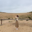 사구해수욕장2 | 🌊2박3일 태안여행 1편🌿+만리포 해수욕장, 천리포 수목원, 신두리해안사구⌛(만리포 돌짜장 실패!)