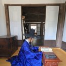 흙과소나무 | 강물이 지운 슬픔, 소나무가 기억한 왕— 영월 청령포에서 단종을 만나다.