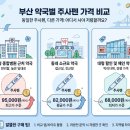 영도건강약국