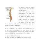 동구당한의원 이미지
