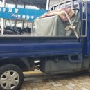 월영동205 이미지