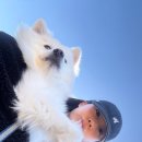 구구과자점 | 부산진구 초읍 로컬들은 다 아는 일본식 스콘이 있는 구움과자 맛집 키라키라과자점