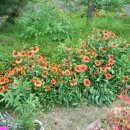 가람농원 이미지