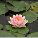 태안 인쇄 이미지