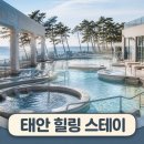 ㈜보고해양개발 | 태안 해양치유센터 숙박 예약방법 가격 후기 총정리