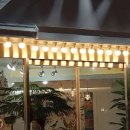 도도스타버거 이미지